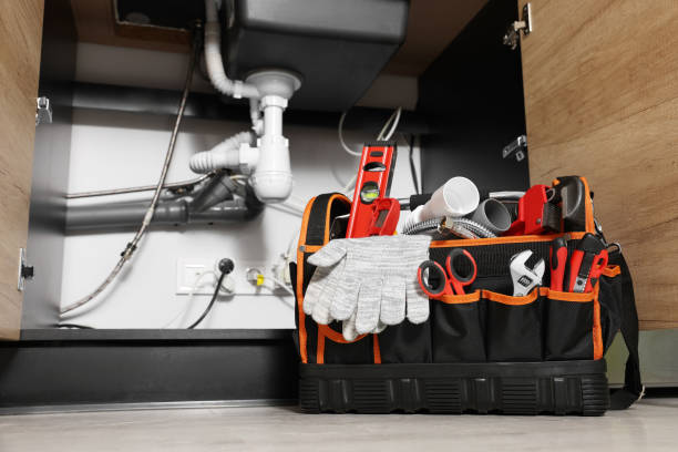Best Same-Day Plumbing Service  in Porter Heights, TX